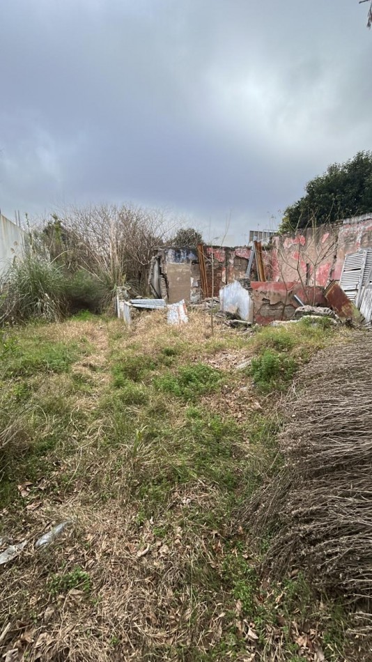 136 E/ 49 Y 50 - LOTE  BALDIO DE 10 X 40 - LA PLATA