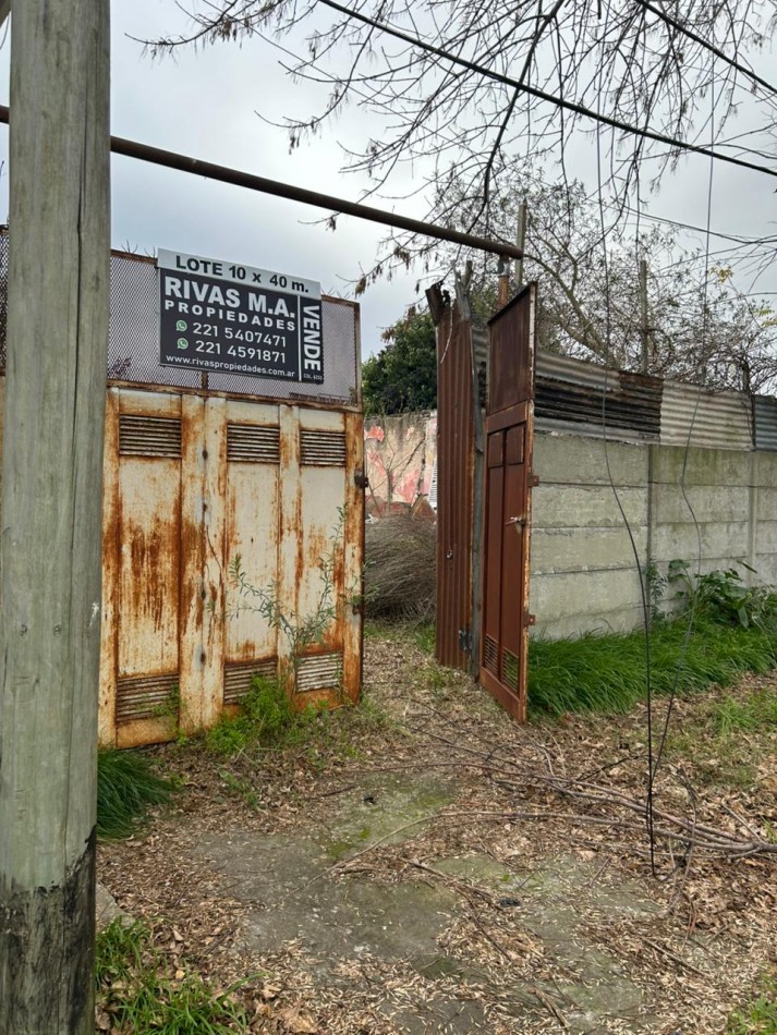 136 E/ 49 Y 50 - LOTE  BALDIO DE 10 X 40 - LA PLATA