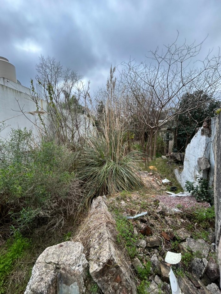 136 E/ 49 Y 50 - LOTE  BALDIO DE 10 X 40 - LA PLATA