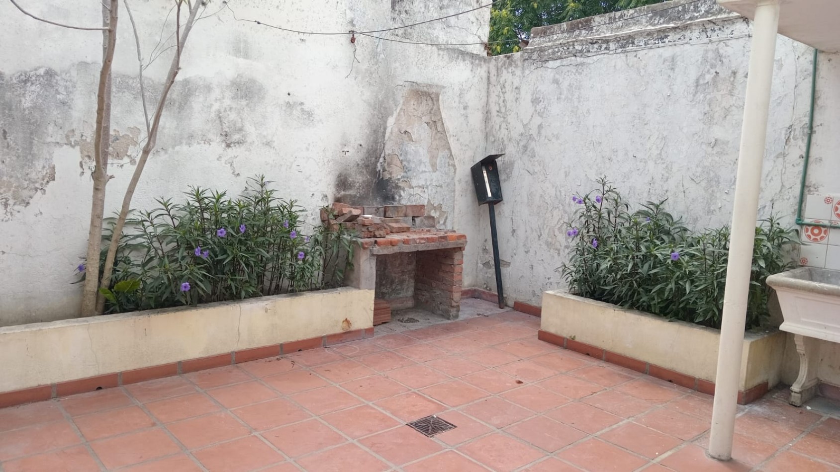 16 E/ 40 Y 41 - CASA  EN ALQUILER- ENTRADA DE AUTO Y PATIO