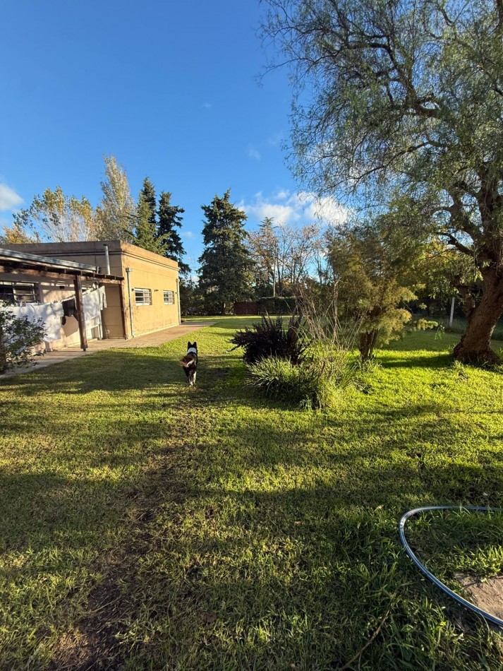 655 e/ 9 y 10 - parque sicardi - sobre esquina  1650 m2 - APTO BANCO