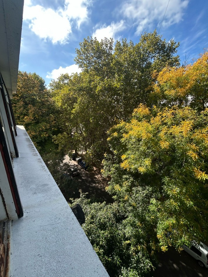 54 e/ 2 y 3 - DEPARTAMENTO EN 3 DORMITORIOS - EN VENTA 